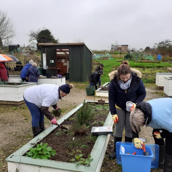 Vols at work