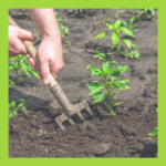 Photo of someone forking the soil in a garden